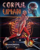 CORPUL UMAN-MARCUS JOHNSON-340993