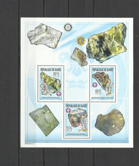 GUINEA 2002 METEORITI