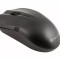 Mouse optic NGS Easy Betta 1000dpi USB negru