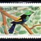 BRAZILIA 1978, Fauna - Pasari, serie neuzata, MNH
