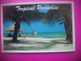 HOPCT 7637 TROPICAL PARADISE -SUA-AMERICA DE NORD -CIRCULATA