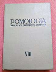 Pomologia R.S.R. Vol. VIII. Soiuri noi si hibrizi de perspectiva - T. Bordeianu foto