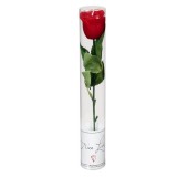 Trandafir Lumanare Rosu in Cutie, 26x4 cm, Oem