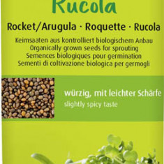 Seminte de Rucola pentru Germinat Bio 40gr Rapunzel