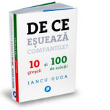 De ce esueaza companiile? 10 greseli si 100 de solutii - Iancu Guda