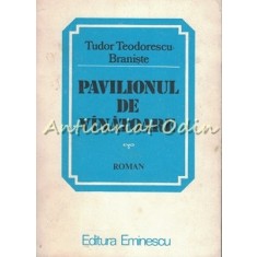 Pavilionul De Vinatoare - Tudor Teodorescu Braniste