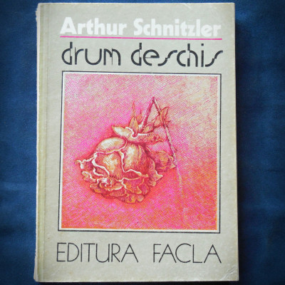 DRUM DESCHIS - ARTHUR SCHNITZLER foto