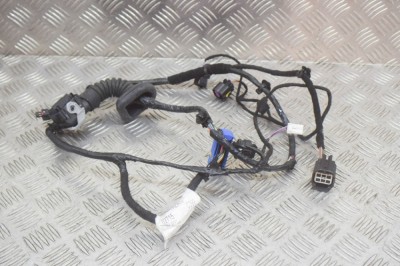 Cablaj ușă dreapta față MASERATI QUATTROPORTE VI 2014 OEM: 6700075080,06700075080 13345617 foto