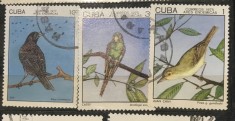 (STR3) Timbre serii Straine Cuba Pasari fauna