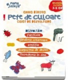 Pete de culoare. Caiet de dezvoltare. Desenam cu copiii 3-5 ani. Dezvoltam fantezia, gandirea creatoare, atentia, dragostea de desen, increderea in si