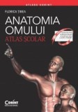 Cumpara ieftin Anatomia omului. Atlas scolar/Florica Tibea, Corint Educational