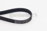 CONTINENTAL CTAM 6PK976 Curea transmisie cu caneluri
