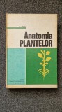 ANATOMIA PLANTELOR - Andrei