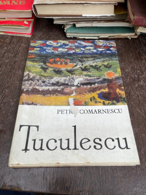 Petru Comarnescu - Tuculescu foto
