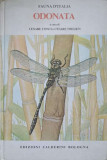 FAUNA D&#039;ITALIA VOL.1 ODONATA -CESARE CONCI, CESARE NIELSEN