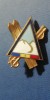 QW9 N2 96 - insigna - sport -comunism - schi, Romania de la 1950