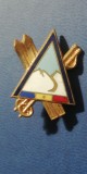 QW9 N2 96 - insigna - sport -comunism - schi, Romania de la 1950