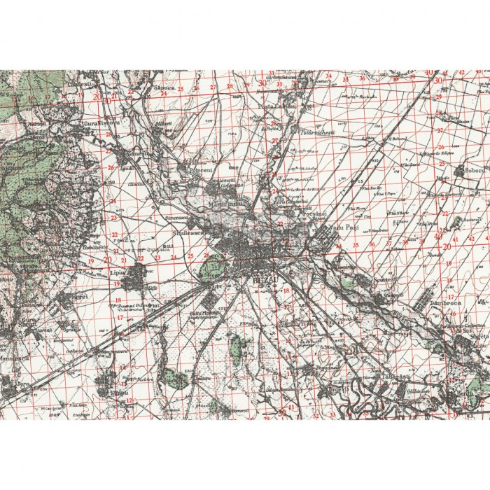 Harta Buzau si imprej., British Army, 1943, 50x70cm, repro