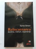 Re&icirc;ncarnarea. Doctrine, Mărturii, Experiențe - Sylvie Simon