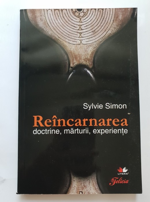 Re&icirc;ncarnarea. Doctrine, Mărturii, Experiențe - Sylvie Simon