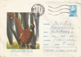 Romania, Fazanul, plic circulat, 1974