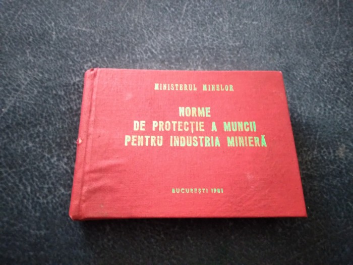 NORME DE PROTECTIE A MUNCII PENTRU INDUSTRIA MINIERA 1981