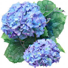 Sticker decorativ Flori Hortensie, Mov, 61 cm, 7895ST