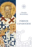 Cumpara ieftin Părinţii Capadocieni. Istorie, literatură, teologie