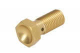 Șurub conductă fr&acirc;nă M10x1,25, colour: Golden (for 1 pipe), Trw