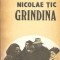 Grindina - Nicolae Tic