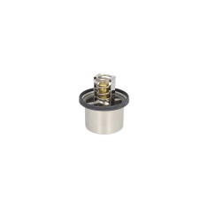 Termostat lichid racire RENAULT ESPACE III JE0 BEHR THD186