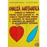 Analiza matematica. Exercitii si probleme pentru elevii claselor XI-XII. Subiecte pregatitoare pentru examenul de bacalaureat, concursul de admitere i