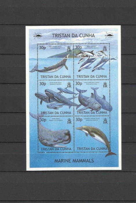TRISTAN DA CUNHA 2002 FAUNA MAMIFERE MARINE