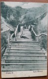 Carte postala, Piatra Neamt, apele minerale 1928
