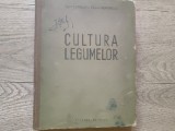 Cultura legumelor