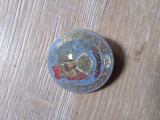 Insigna Industrie 8 Botosani 550 ani