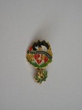 QW9 N 40 - insigna - militar - pompieri - pentru eroii pompieri, America de Nord