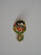 QW9 N 40 - insigna - militar - pompieri - pentru eroii pompieri