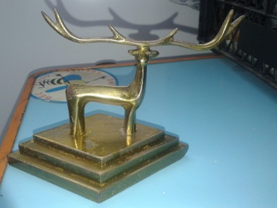 CERBUL DE AUR-BRASOV foto