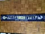 Fular internazionale milano inter campione forza ragazzi dateci la gioia della vittoria fotbal italia, De club, Inter Milano