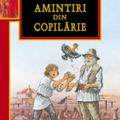 Amintiri din copilarie