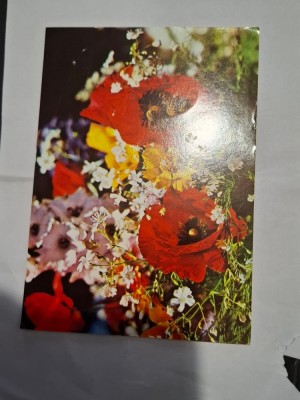 Carte postala floare 3 foto