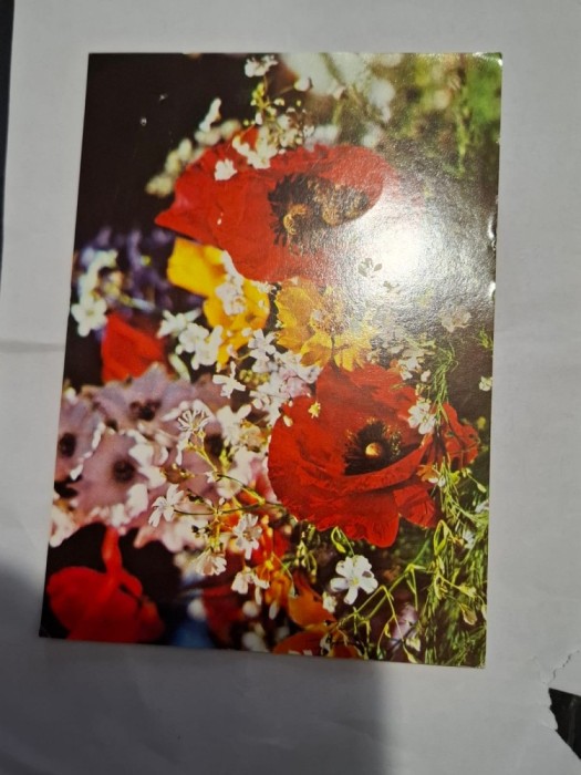 Carte postala floare 3