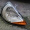 Far dreapta Ford Ka