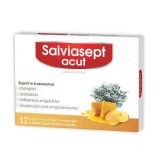 Salviasept Acut, 12 comprimate de supt, Zdrovit