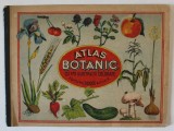 ATLAS BOTANIC , CU 170 ILUSTRATII COLORATE , LUCRARE ..PENTRU UZUL SCOLAR ..EDITIE INTERBELICA, STARE FOARTE BUNA DE CONSERVARE *