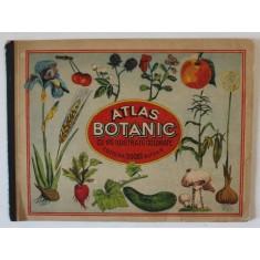 ATLAS BOTANIC , CU 170 ILUSTRATII COLORATE , LUCRARE ..PENTRU UZUL SCOLAR ..EDITIE INTERBELICA, STARE FOARTE BUNA DE CONSERVARE *