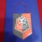 Fanion Infratirea Oradea