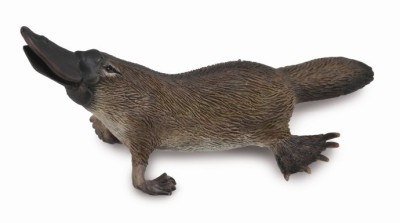 Figurina Platypus M Collecta foto