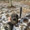 Camera vanatoare cu transmitere live ForestVision Live C3